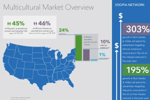 VMI Multicultural Infographic, Q1, 2014